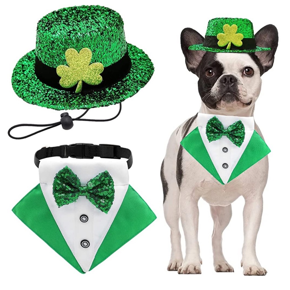 St Patrick’s Day Dog hat and bandana with collar